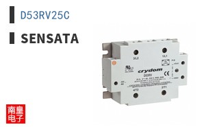 D53RV25C