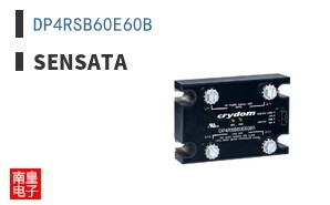 DP4RSB60E60B