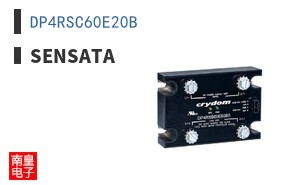 DP4RSC60E20B