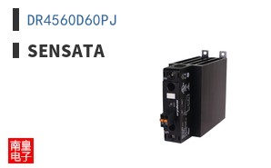 DR4560D60PJ