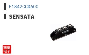 F1842CCD600