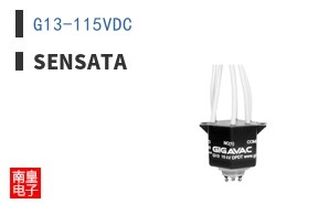 G13-115VDC
