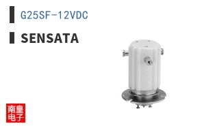 G25SF-12VDC