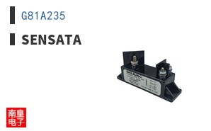 G81A235