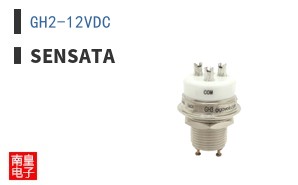 GH2-12VDC