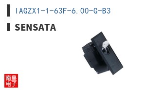 IAGZX1-1-63F-6.00-G-B3