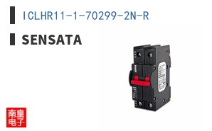 ICLHR11-1-70299-2N-R