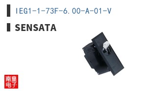 IEG1-1-73F-6.00-A-01-V