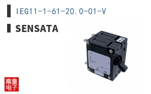 IEG11-1-61-20.0-01-V