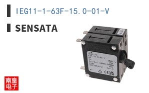 IEG11-1-63F-15.0-01-V