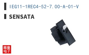 IEG11-1REC4-52-7.00-A-01-V