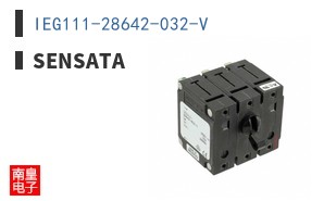 IEG111-28642-032-V