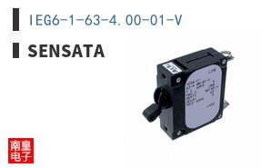 IEG6-1-63-4.00-01-V