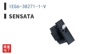 IEG6-38271-1-V