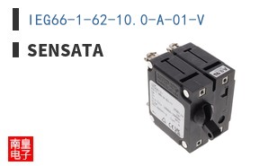 IEG66-1-62-10.0-A-01-V