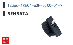 IEG66-1REC4-63F-5.00-01-V