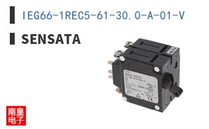 IEG66-1REC5-61-30.0-A-01-V