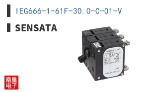 IEG666-1-61F-30.0-C-01-V