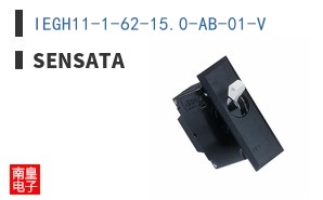 IEGH11-1-62-15.0-AB-01-V