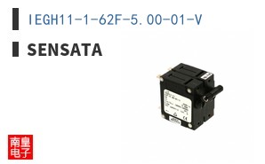 IEGH11-1-62F-5.00-01-V