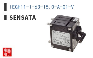 IEGH11-1-63-15.0-A-01-V