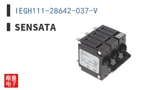IEGH111-28642-037-V