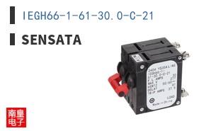 IEGH66-1-61-30.0-C-21