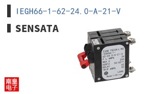 IEGH66-1-62-24.0-A-21-V