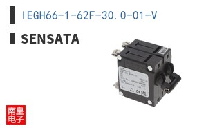 IEGH66-1-62F-30.0-01-V