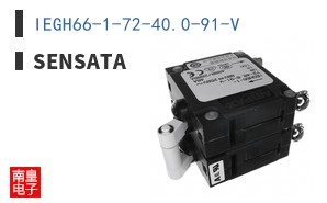IEGH66-1-72-40.0-91-V