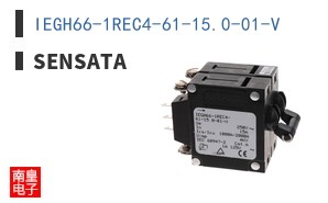IEGH66-1REC4-61-15.0-01-V