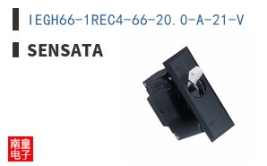 IEGH66-1REC4-66-20.0-A-21-V