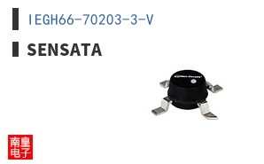 IEGH66-70203-3-V