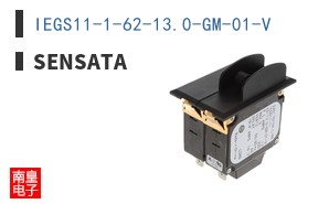 IEGS11-1-62-13.0-GM-01-V