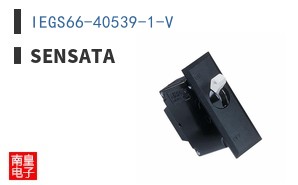 IEGS66-40539-1-V