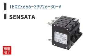 IEGZX666-39926-30-V