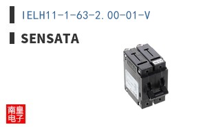 IELH11-1-63-2.00-01-V