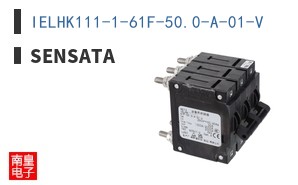 IELHK111-1-61F-50.0-A-01-V