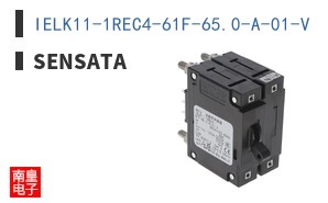 IELK11-1REC4-61F-65.0-A-01-V