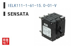 IELK111-1-61-15.0-01-V
