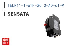 IELR11-1-61F-20.0-AD-61-V