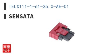 IELX111-1-61-25.0-AE-01