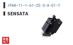 IPAH-11-1-61-20.0-A-01-T