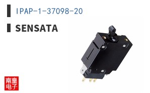 IPAP-1-37098-20