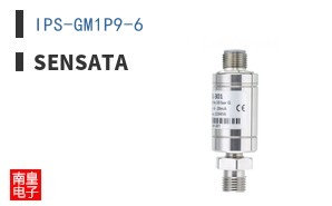 IPS-GM1P9-6