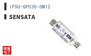 IPSU-GP030-6M12