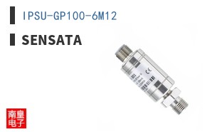 IPSU-GP100-6M12
