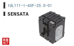 IUL111-1-65F-25.0-01