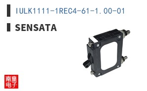 IULK1111-1REC4-61-1.00-01