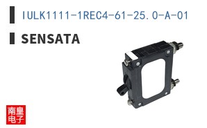 IULK1111-1REC4-61-25.0-A-01